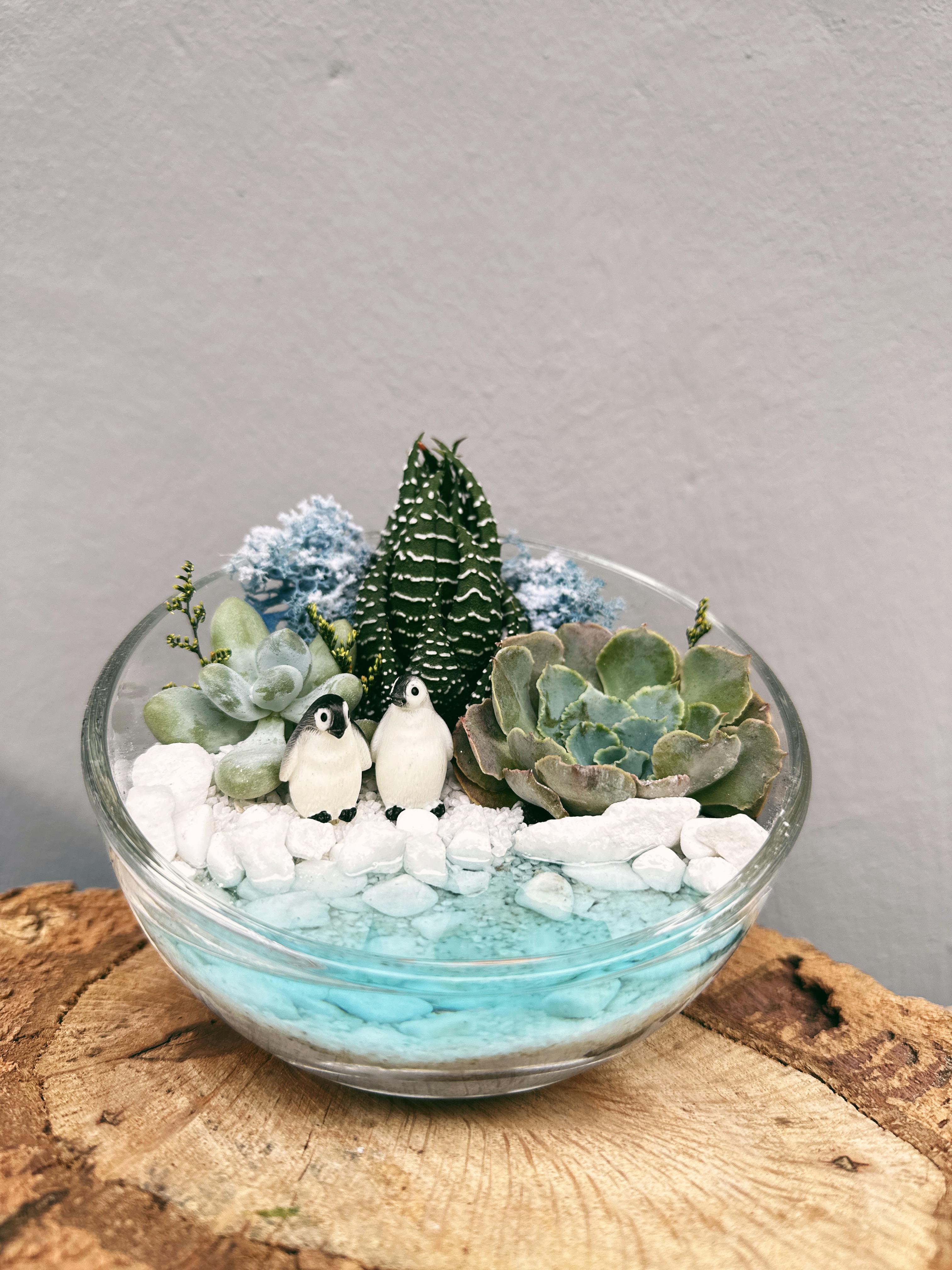 Флорариум с пингвинами с суккулентом и водоемом 12x9 см