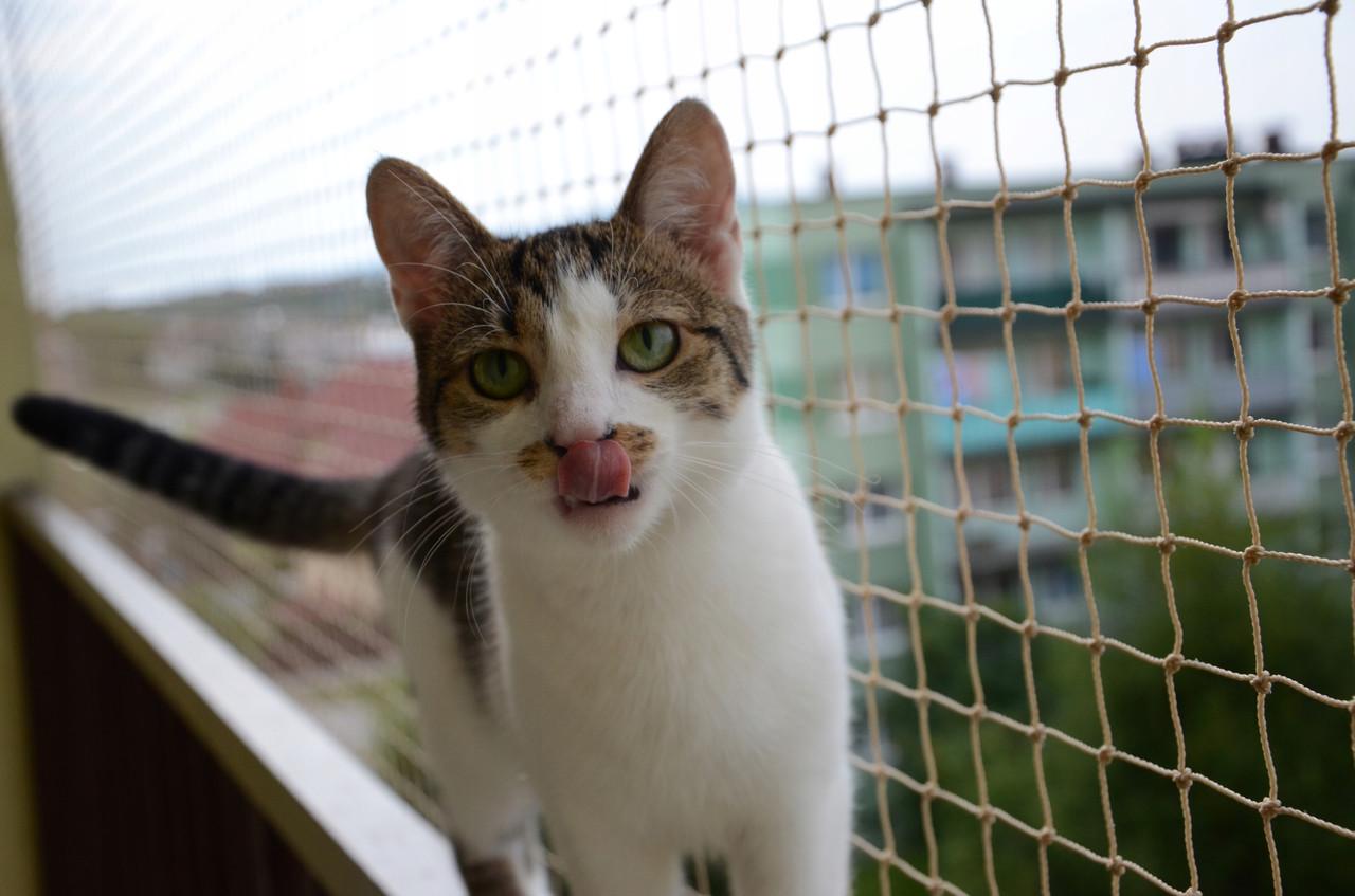 Сетка балконная для кошки Linar SiatkiSieci без сверления 6x3 м Бежевый - фото 4 Сетка балконная для кошки Linar SiatkiSieci без сверления 6x3 м Бежевый - фото 4