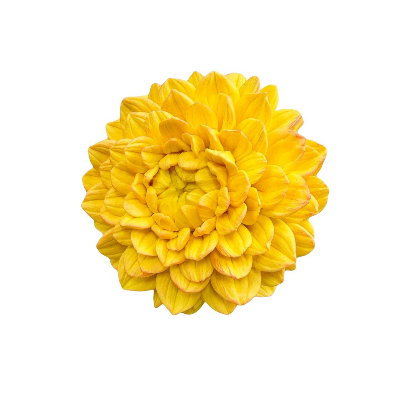 Молд силиконовый Георгина 3 Extra Soft (13534)