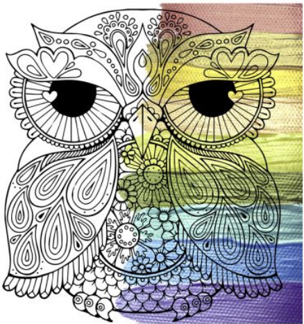 Картина по номерам Riviera Blanca Цветочная сова 40x50 см (RB-0611) Картина по номерам Riviera Blanca Цветочная сова 40x50 см (RB-0611)