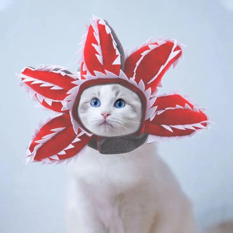 Шапка для котов и собак Сircus S Red (234595) - фото 2