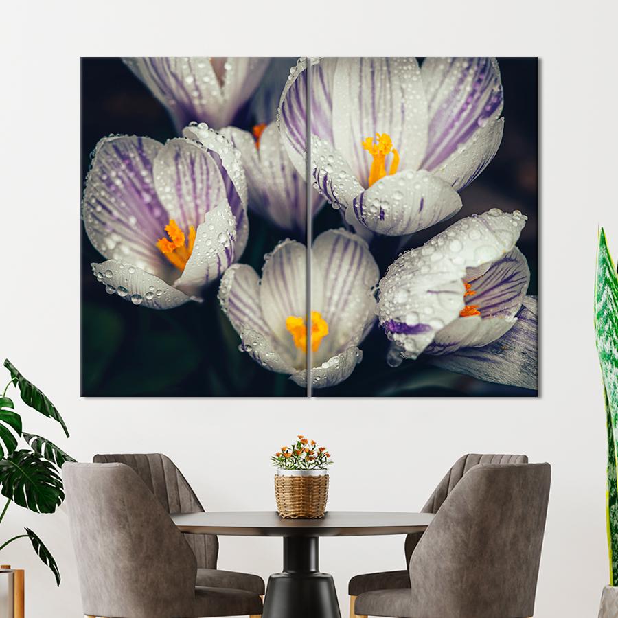 Картина цветы и растения Крокусы в росе 165x122 см (A984-2)
