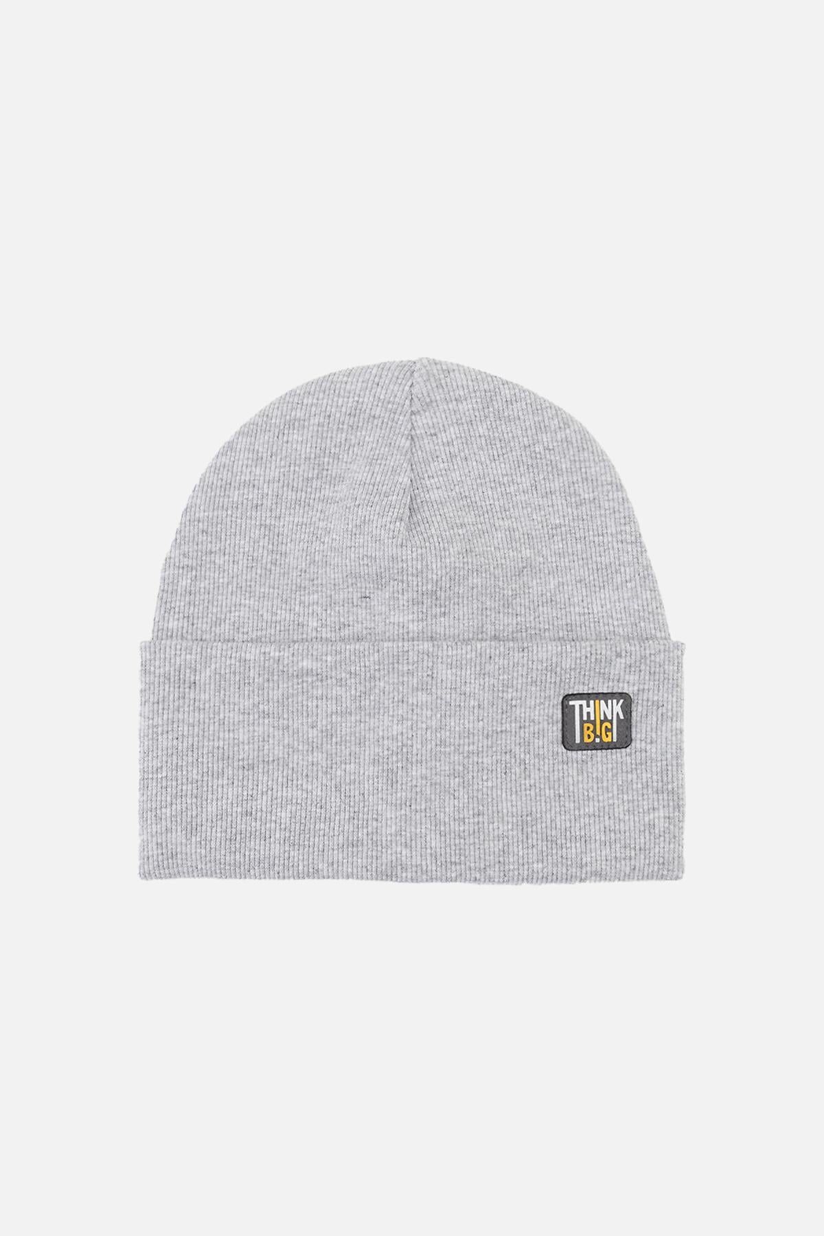 Шапка для мальчика 48-50 см Серый (24099997)