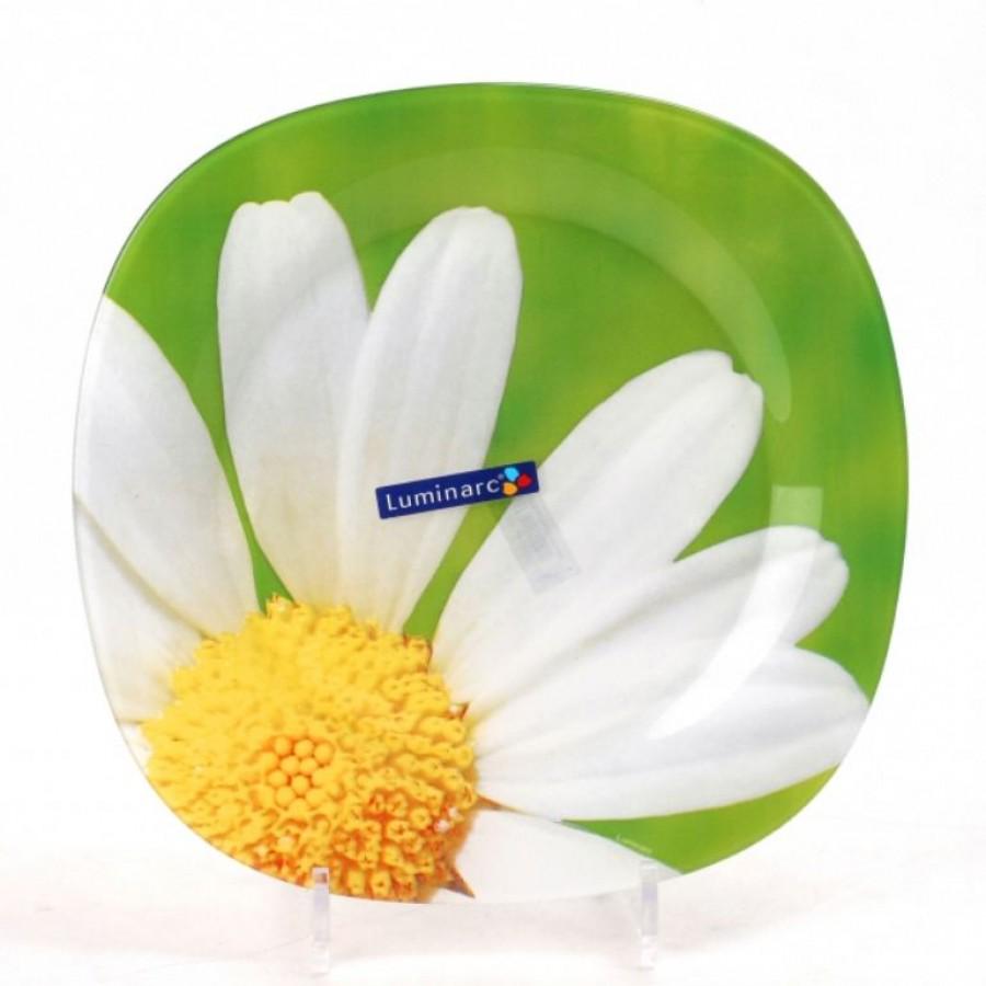 Столовый сервиз Luminarc Carine Paquerette 19 предметов (G8909) - фото 2 Столовый сервиз Luminarc Carine Paquerette 19 предметов (G8909) - фото 2