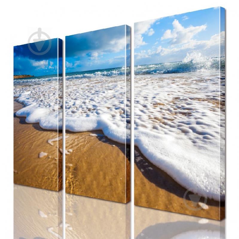 Модульная картина ArtStar ADSE0080 размер 150 х 180 см