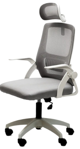 Кресло Diego ErgoFlex сетка Бело-серый Кресло Diego ErgoFlex сетка Бело-серый