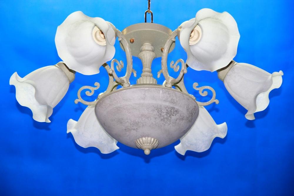 Люстра с плафонами Ray L5069/6/2 WT (IR006509)