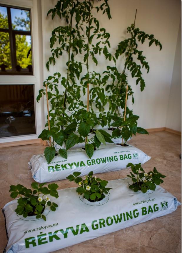 Торфяной субстрат GROWING BAG 45 л (1650291466) - фото 2