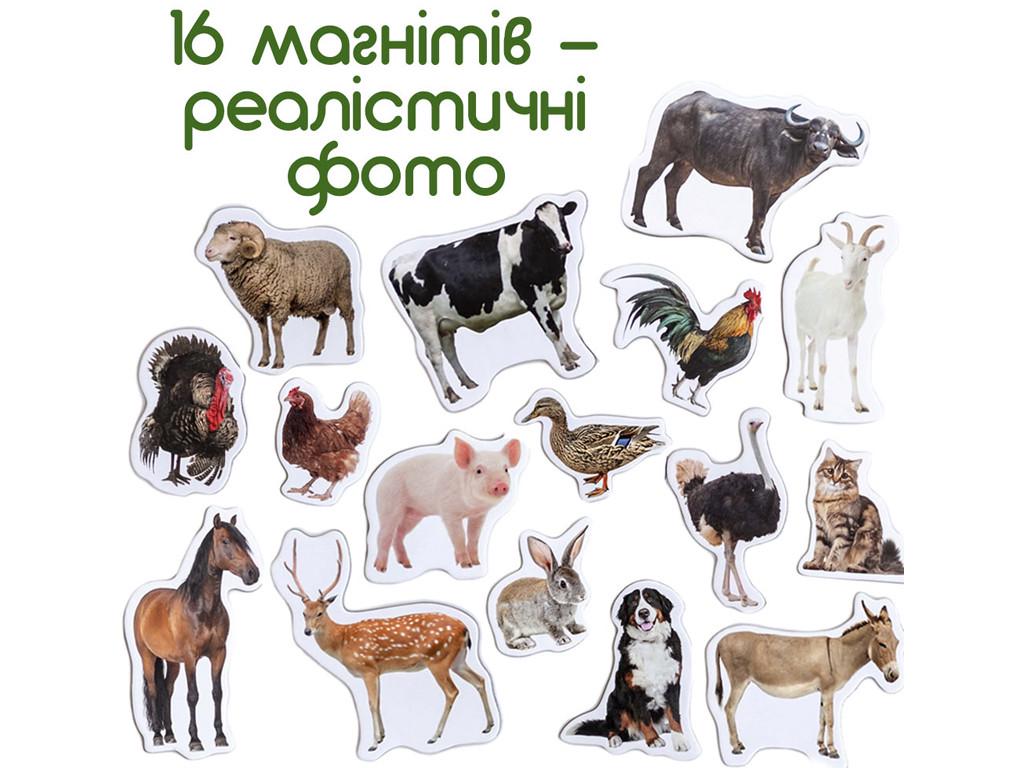 Набор магнитов Magdum ML4031-04 EN Farm Animal Magnets Ферма (22108) - фото 2 Набор магнитов Magdum ML4031-04 EN Farm Animal Magnets Ферма (22108) - фото 2