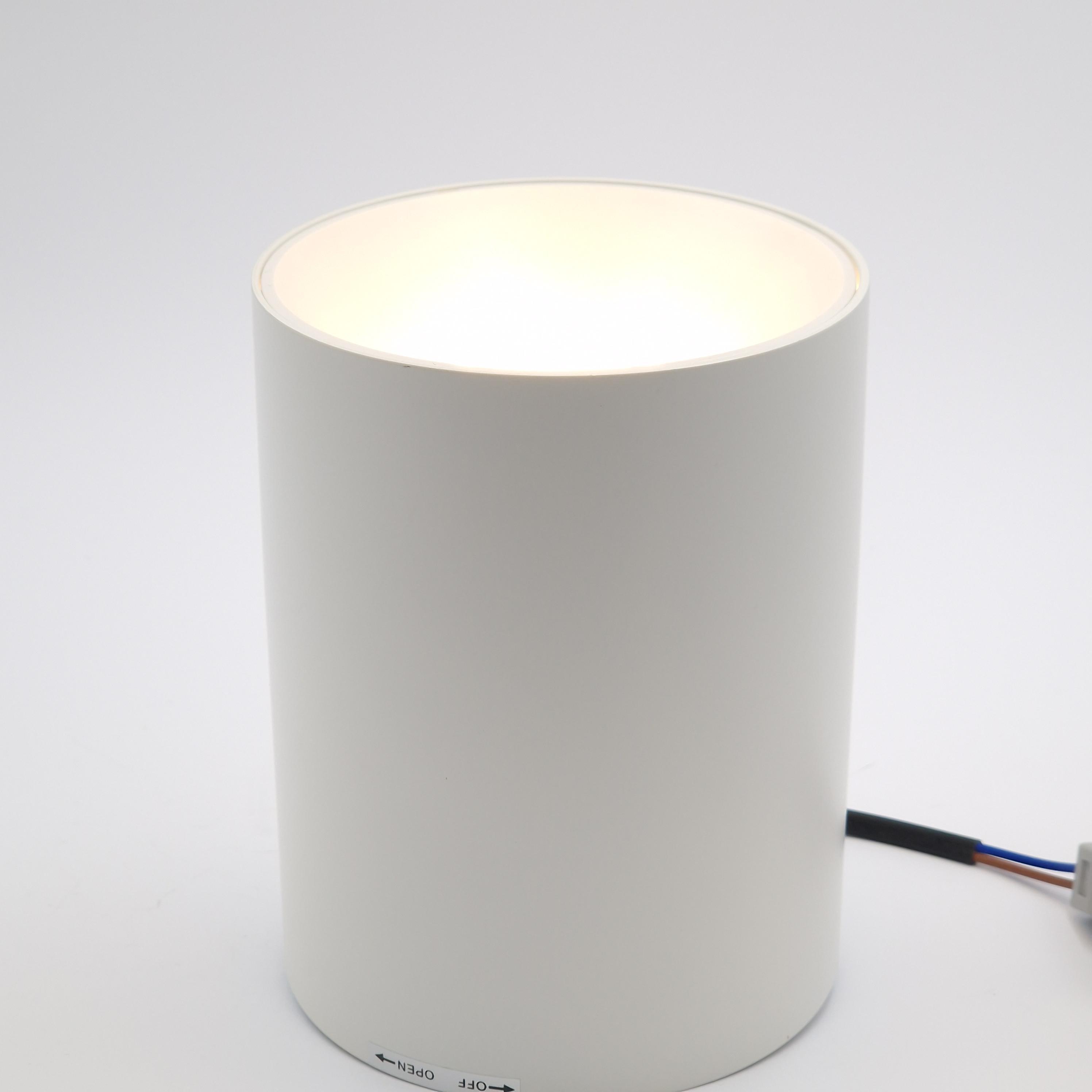 Светильник накладной Light Club 12 Вт 5000 К IP20 Белый (WL-521а-12-5-W) - фото 2 Светильник накладной Light Club 12 Вт 5000 К IP20 Белый (WL-521а-12-5-W) - фото 2