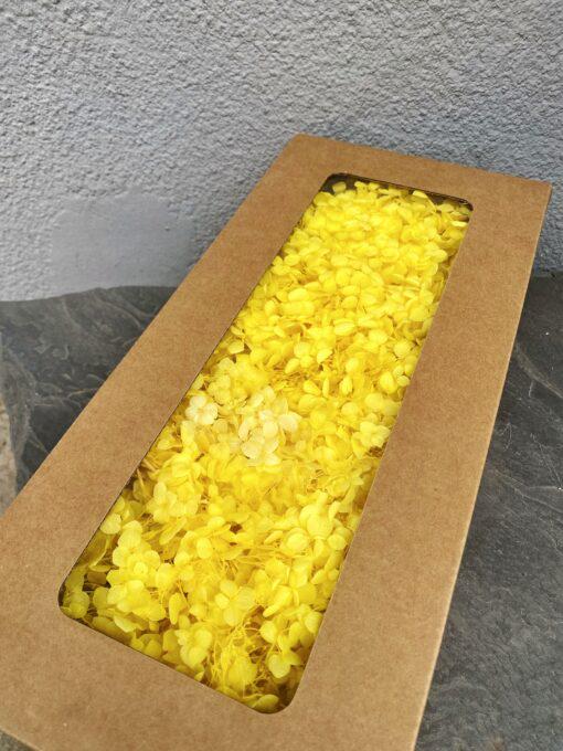 Стабилизированная гортензия 100 гр. Желтый Стабилизированная гортензия 100 гр. Желтый