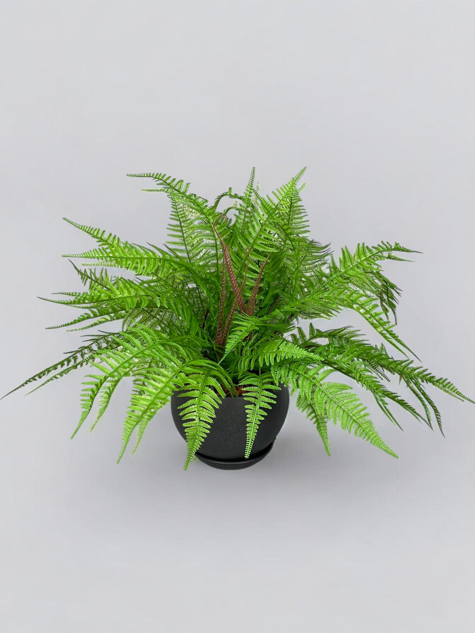 Композиция из искусственного папоротника в черном керамическом горшке Зеленый (А202)