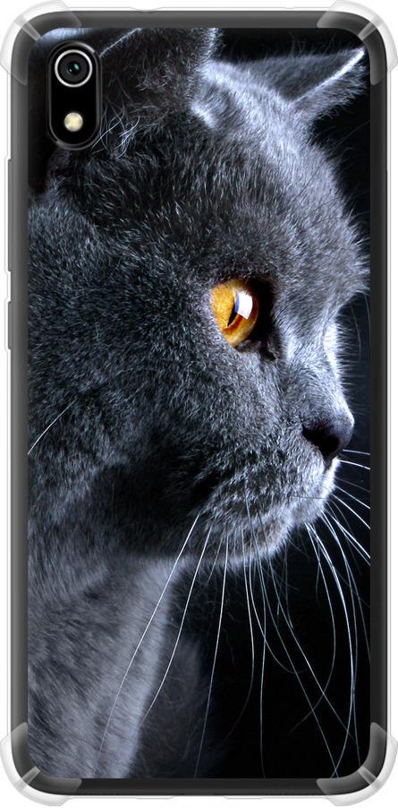 Чехол на Xiaomi Redmi 7A Красивый кот (3038sp-1716-42517)