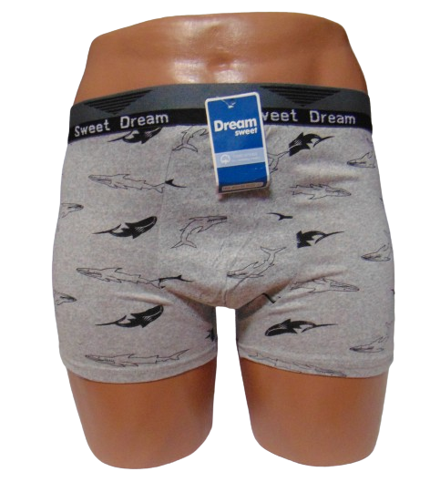 Трусы мужские Sweet Dream 3139-1 2XL Серый (2067280439)