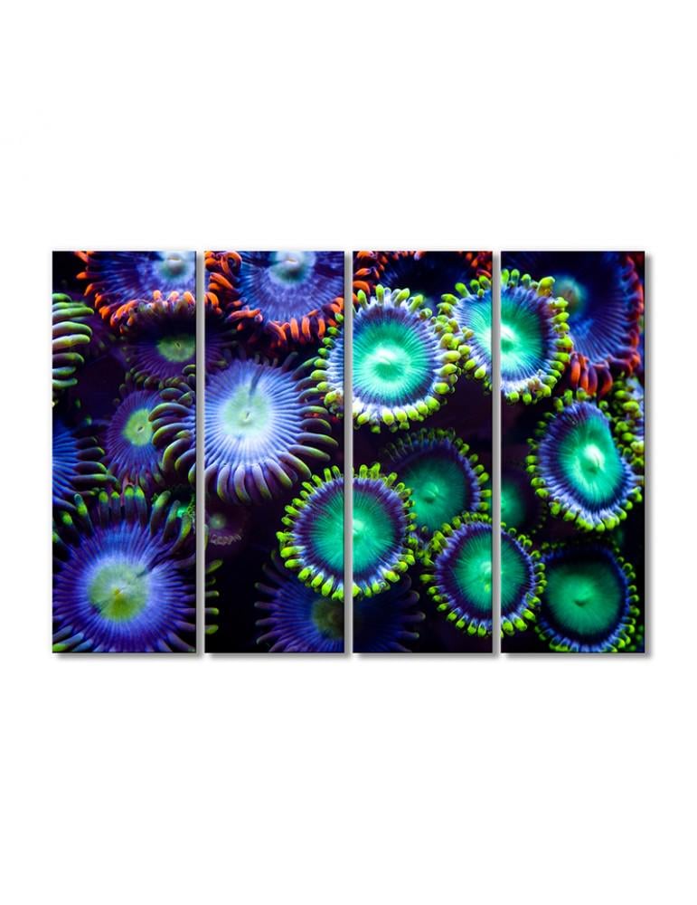 Картина модульная Сине-зеленые морские анемоны 4 модуля 70x105 см