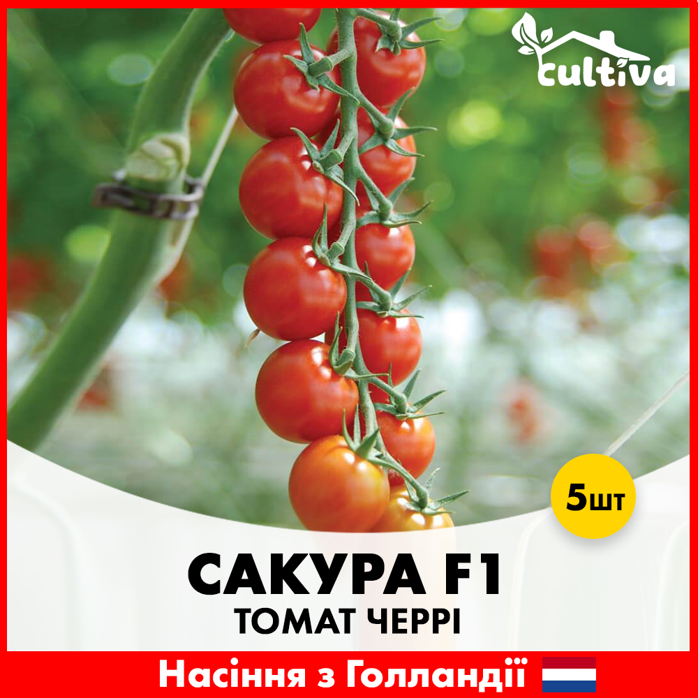 Семена томата черри Enza Zaden Сакура F1 5 шт. (420)