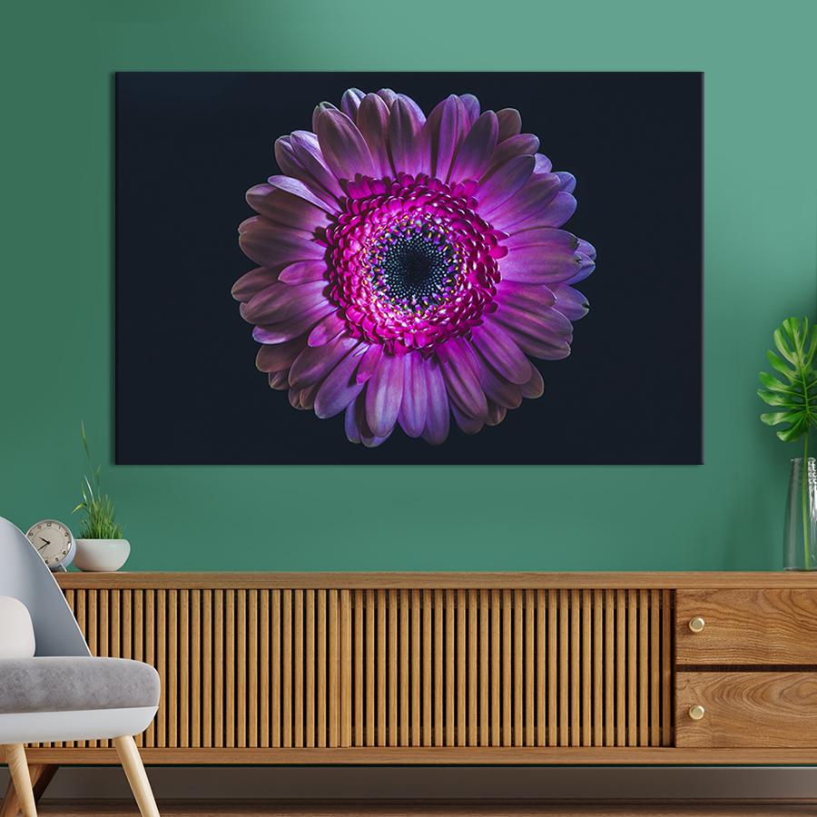 Картина на холсте Пурпурная гербера 51x34 см (257-1)