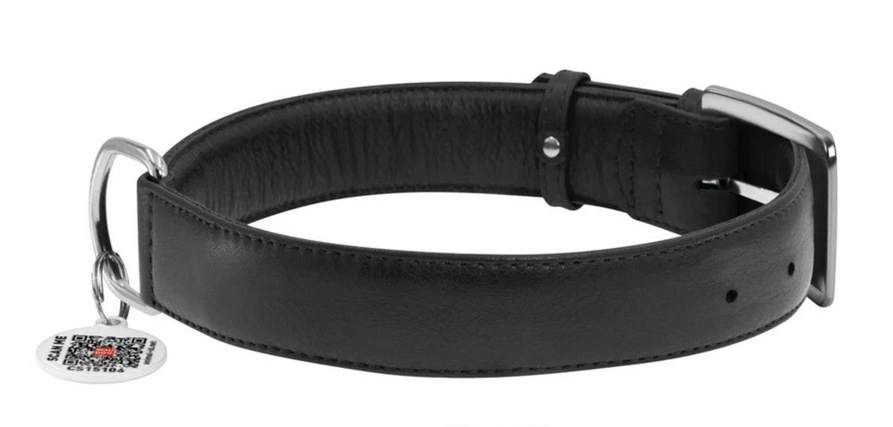Ошейник для собак кожаный WAUDOG Glamour с QR паспортом без украшений L 25 мм 38-49 см Черный (Collar33041)