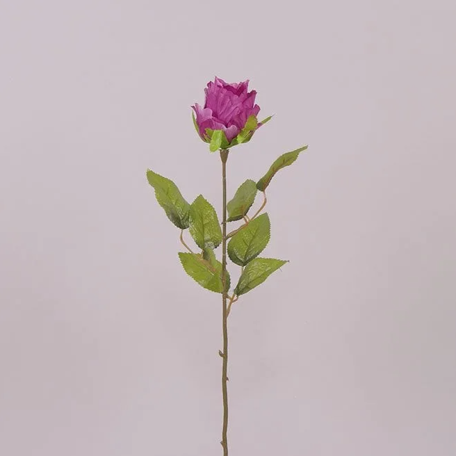 Цветок Роза Flora Фиолетовый (70828)