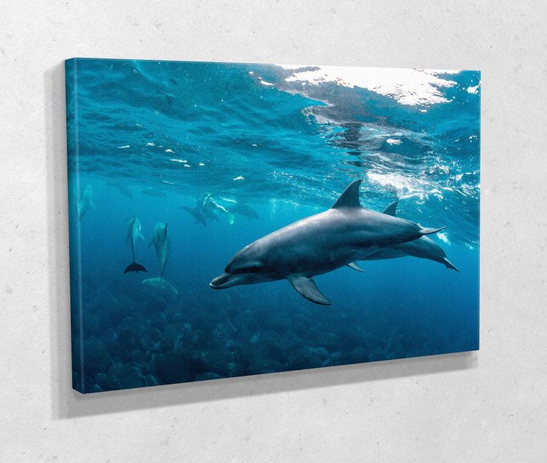 Картина для интерьера Дельфины 120x80 см (711)