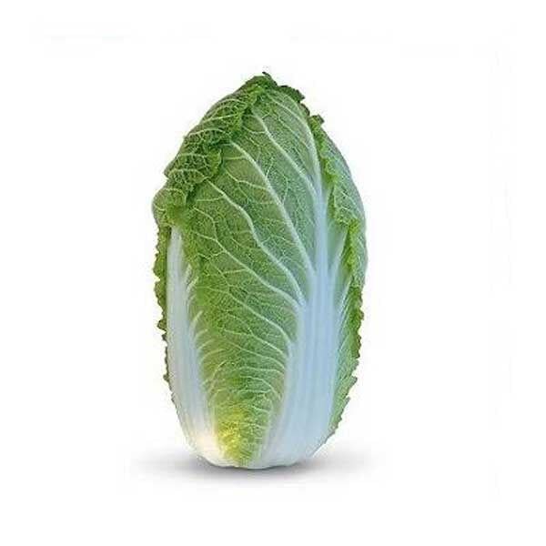 Семена Капуста Пекинская Kitano Seeds YAMORI KS 340 F1 1000 шт. (2289620619.5)