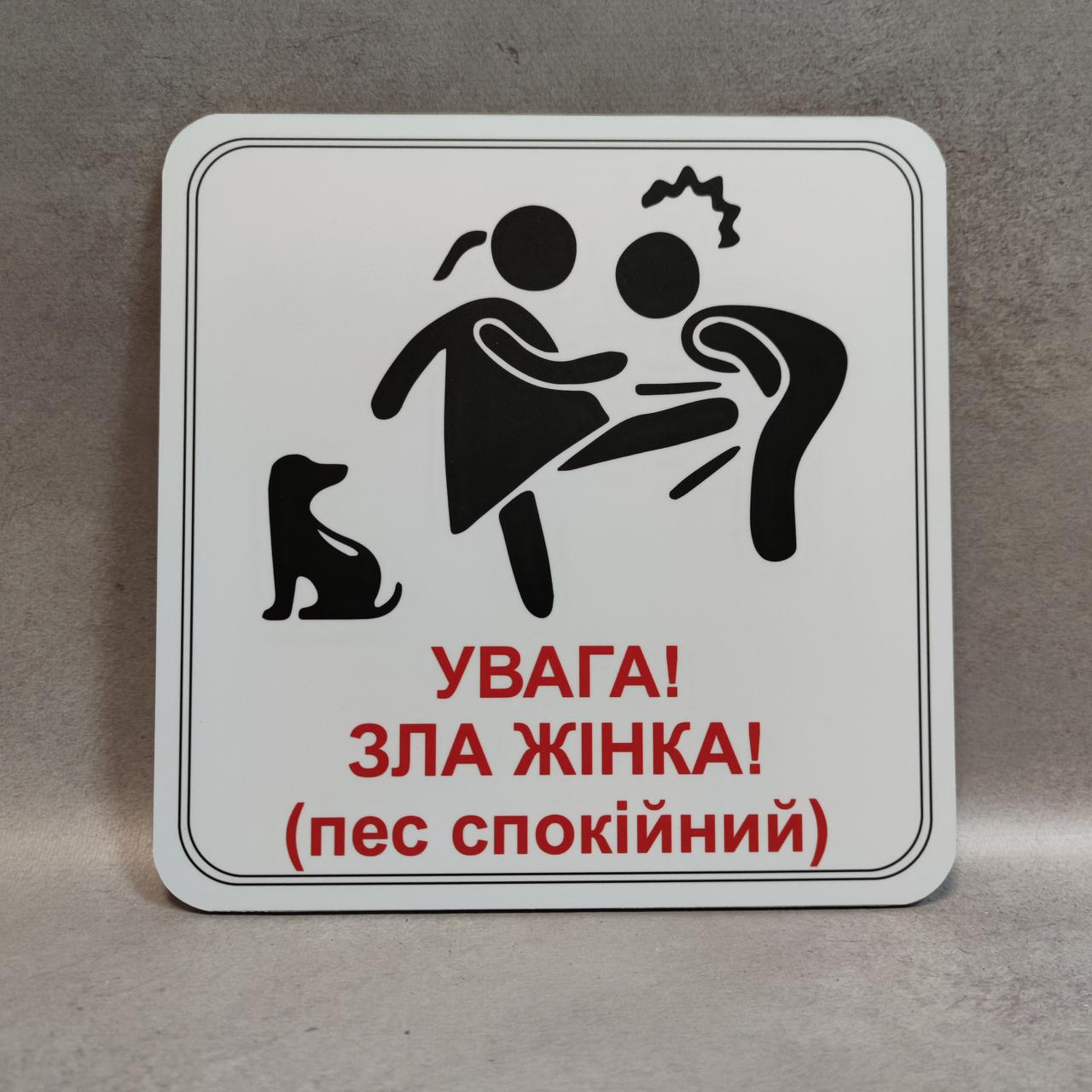 Табличка "Обережно. Зла господиня" 25 см (1391525246)