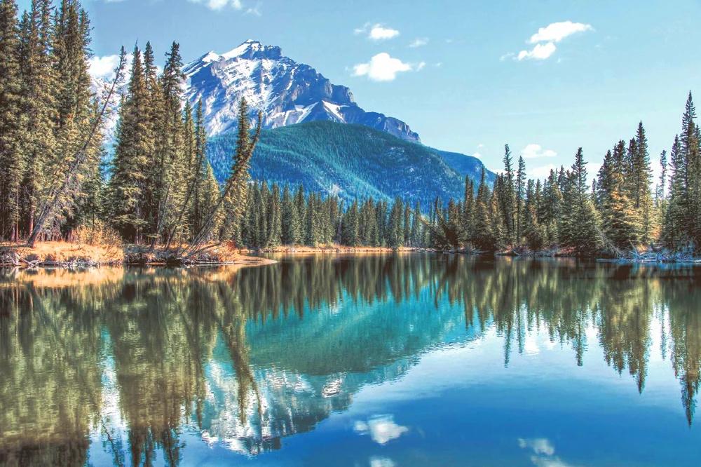 Мозаїчне панно Kotto Ceramica Гори 750x750 мм (004020)