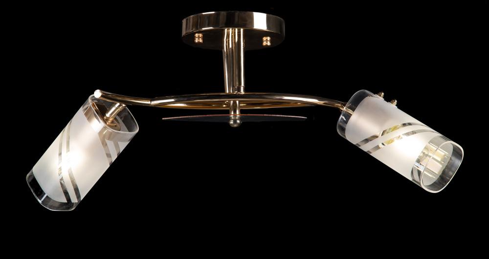 Люстра с плафонами Ray L0441/2 FG2 CH2 MIX (30249091)