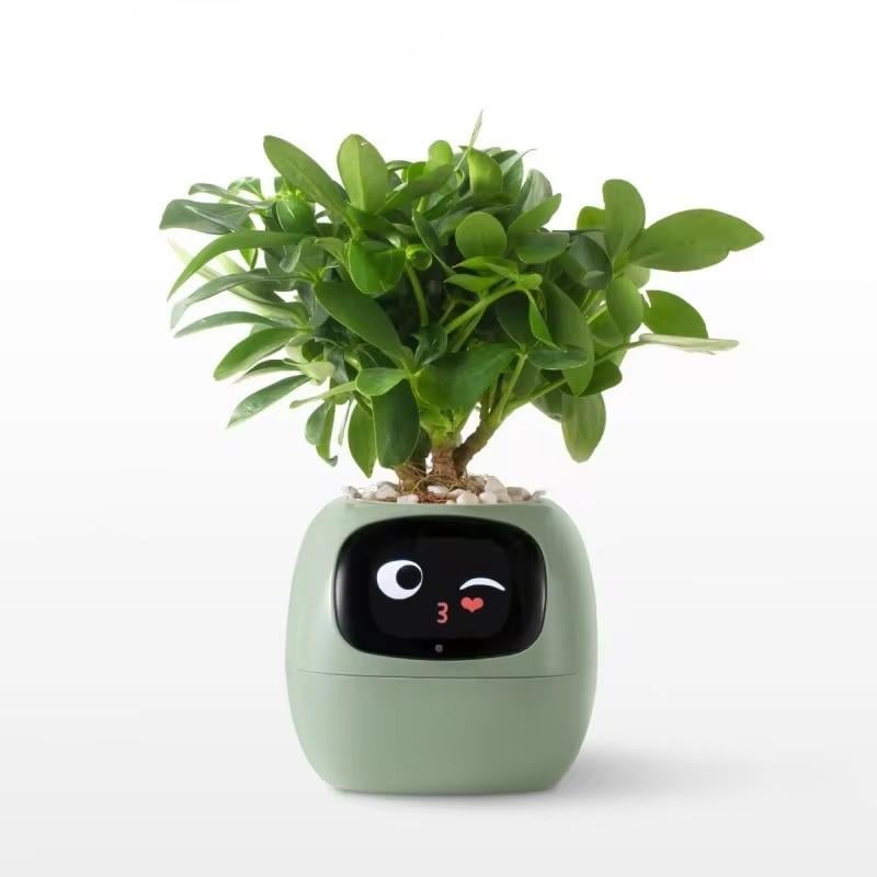 Горшок для растений интерактивный Ivy Smart Planter Tuya Green AI (19510307)