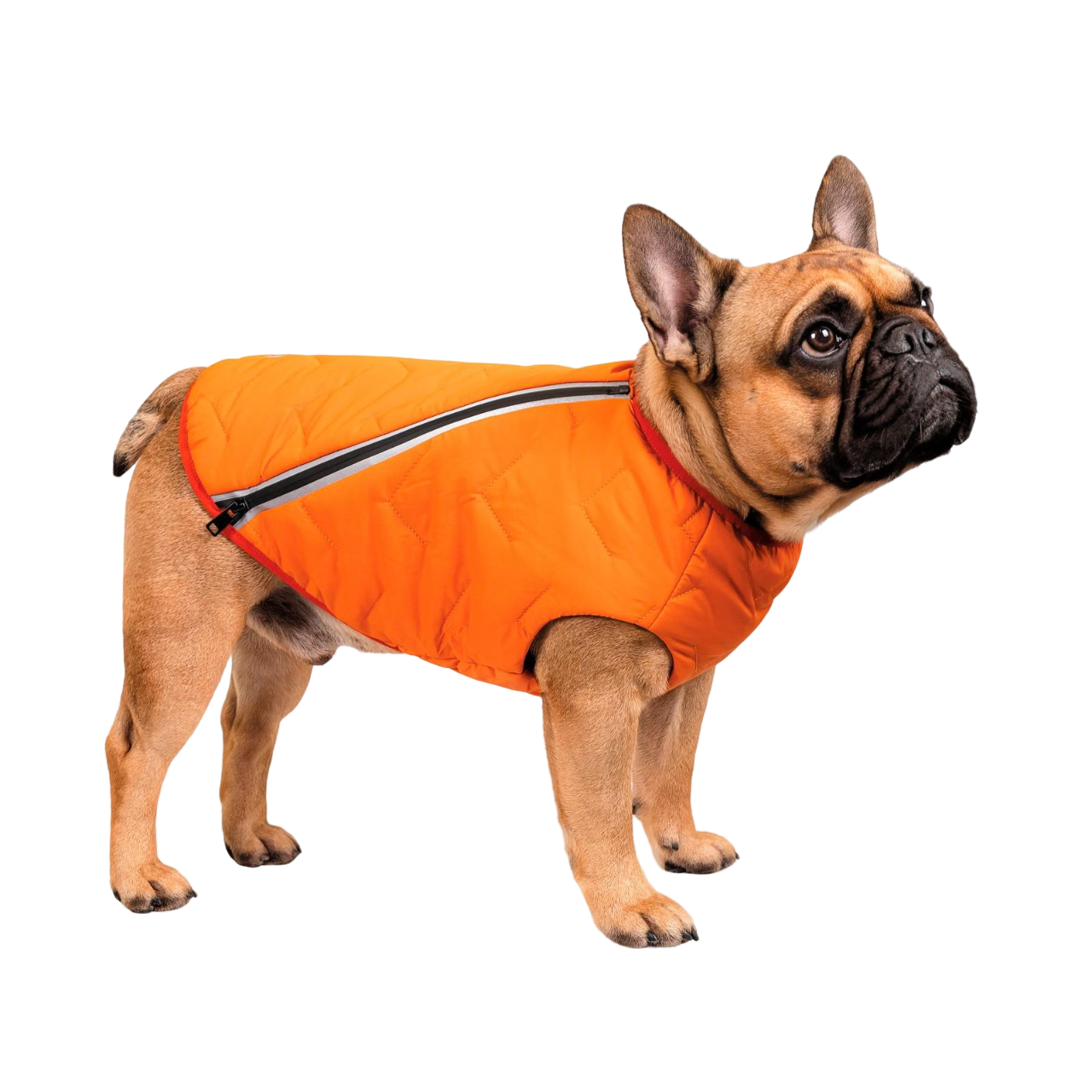 Жилет Pet Fashion E.Vest XS2 Оранжевый (PR242428)