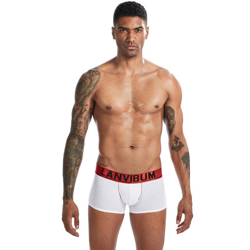 Трусы Lanvibum M Белый (7461)