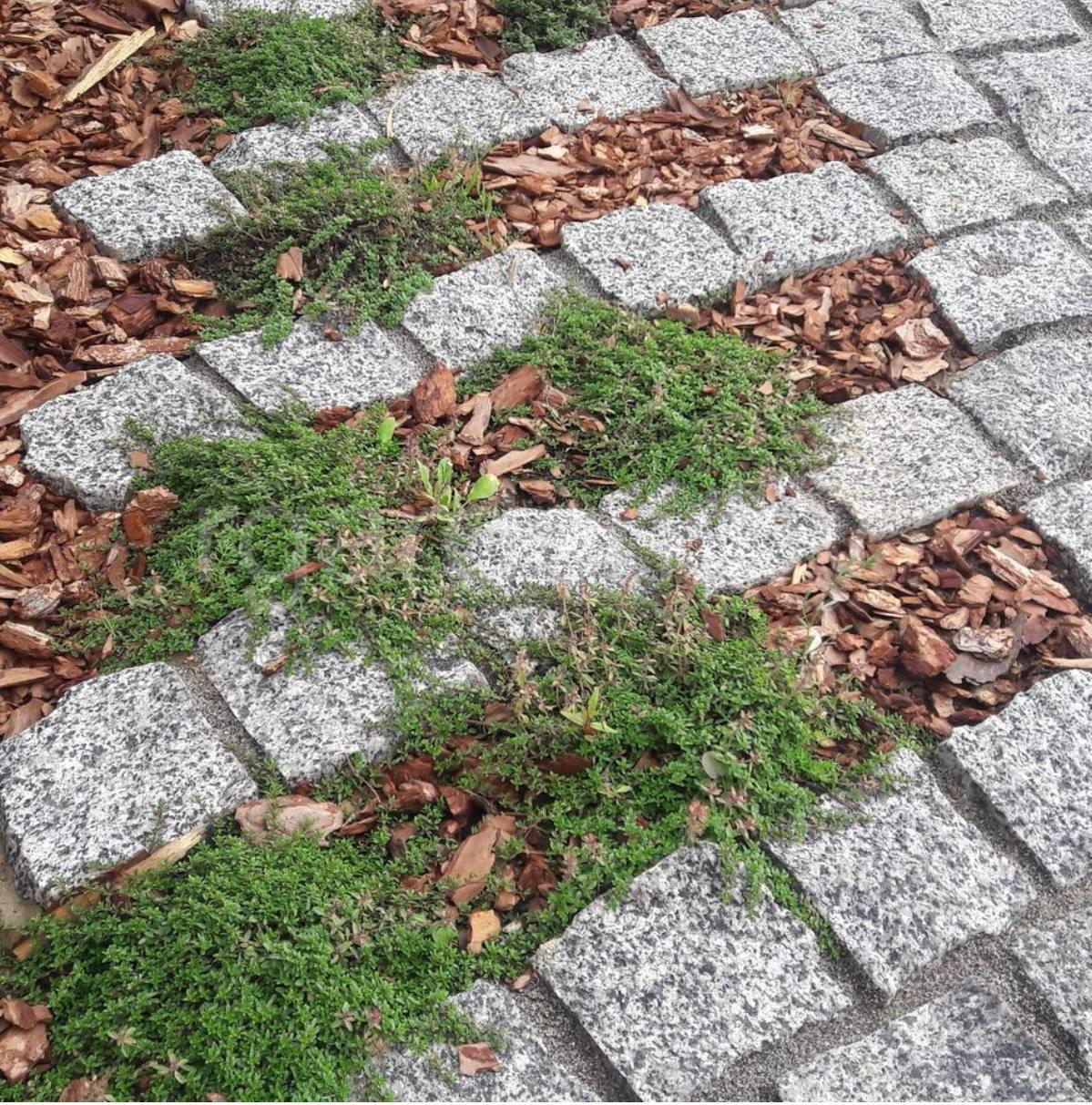 Бруківка покостівська Кам'яний двір 10х10х5 см (016) - фото 3 Бруківка покостівська Кам'яний двір 10х10х5 см (016) - фото 3