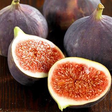 Саджанець інжиру Rouge de Bordeaux трирічний морозостійкий (1577136110)