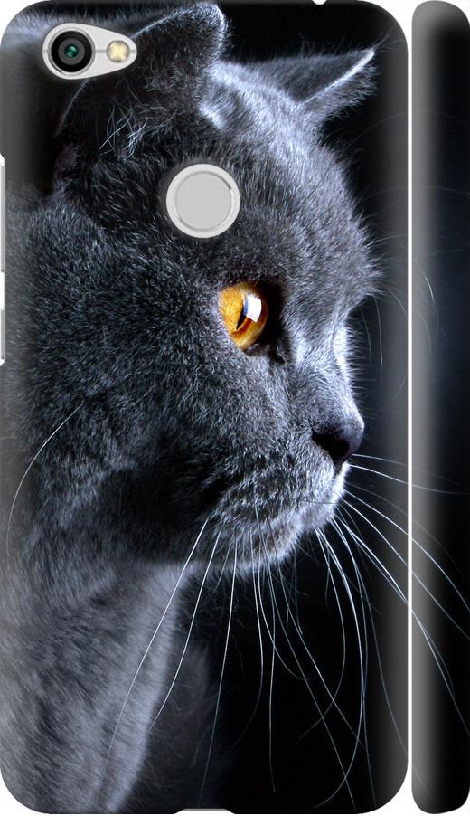 Чехол на Xiaomi Redmi Note 5A Prime Красивый кот (3038m-1063-42517)