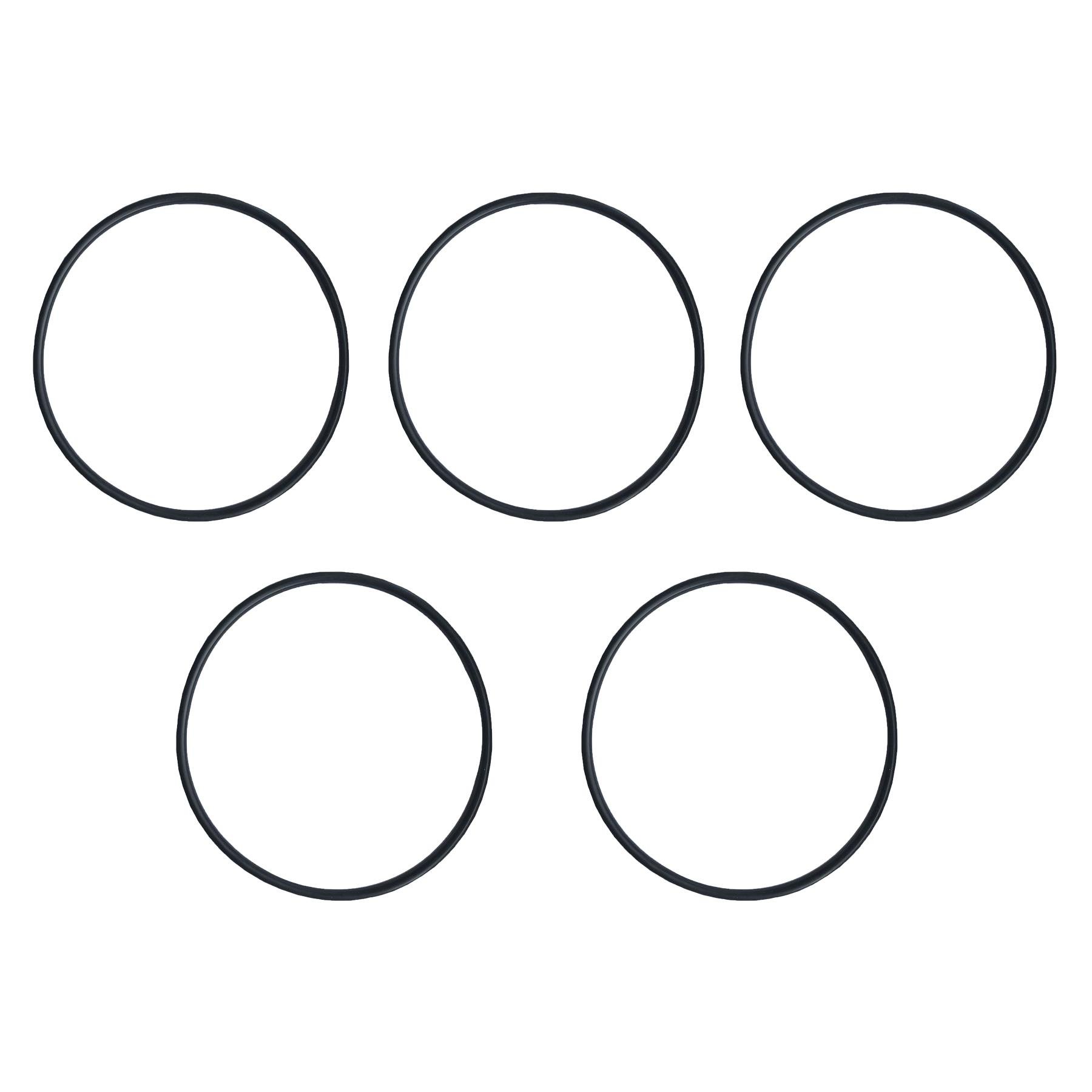 Кольцо уплотнительное для колбы Вig Вlue наружный диаметр 150 мм 5 шт. (28748981)