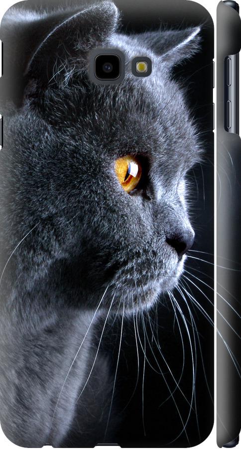 Чехол на Samsung Galaxy J4 Plus 2018 Красивый кот (3038m-1594-42517)