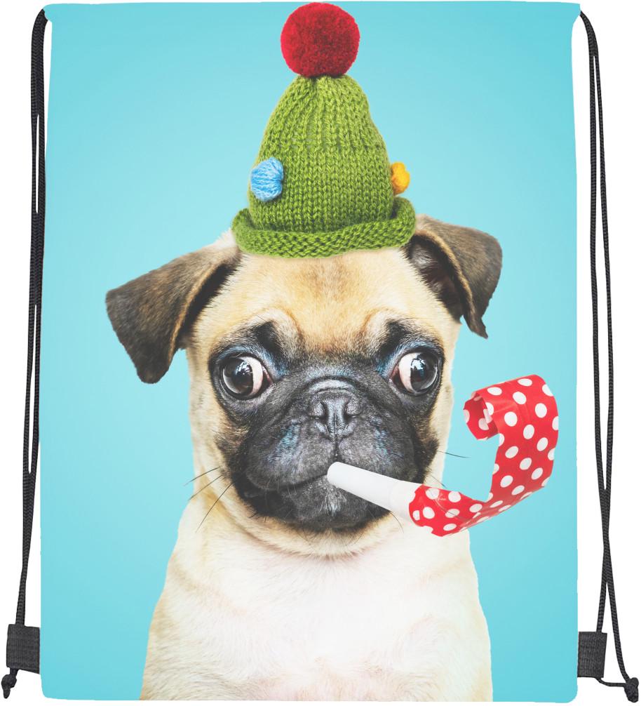 Мішок cпортивний Мопс у шапці (mishok-sport-306470115-mops-u-shapci)