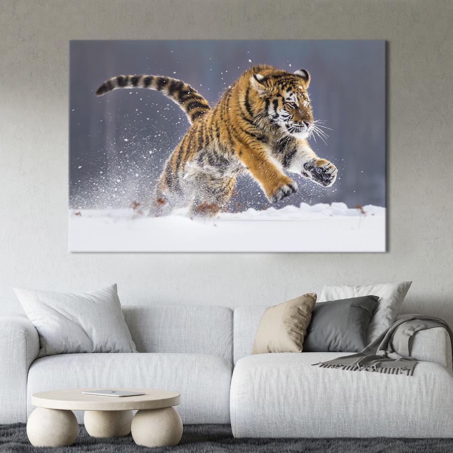 Картина на холсте Снежный тигр 51x34 см (170-1)