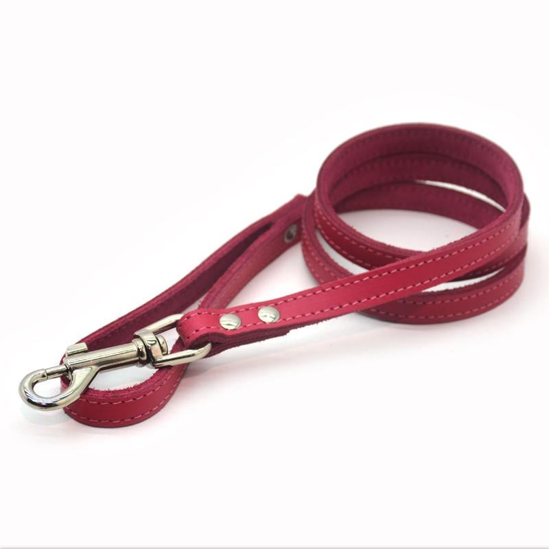 Поводок для собак и кошек Zoo-hunt Весна кожаный 1,4/120 см Розовый - фото 1 Поводок для собак и кошек Zoo-hunt Весна кожаный 1,4/120 см Розовый - фото 1