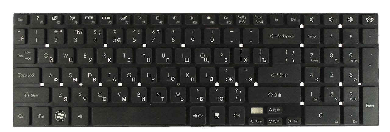 Клавиатура для ноутбука Acer Packard Bell EasyNote LS11SB матовая (KB.I170G.310)