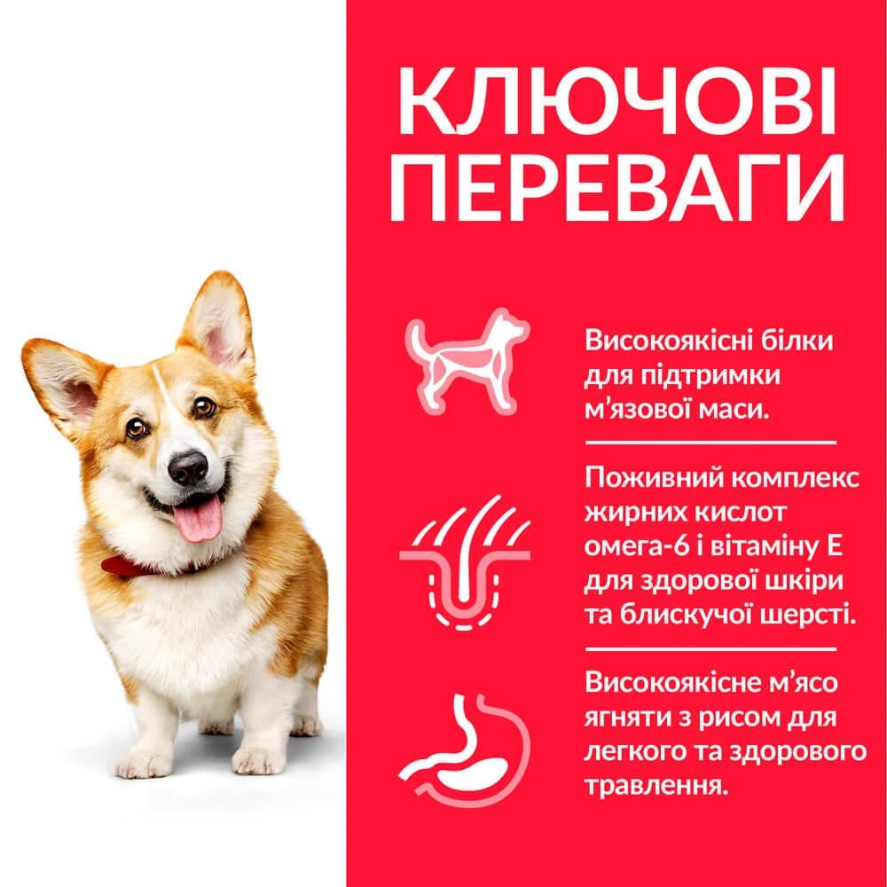 Корм сухий Hill's Science Plan Canine Small&Miniature Lamb&Rice з ягнятком для собак малих порід 6 кг (052742025391) - фото 2