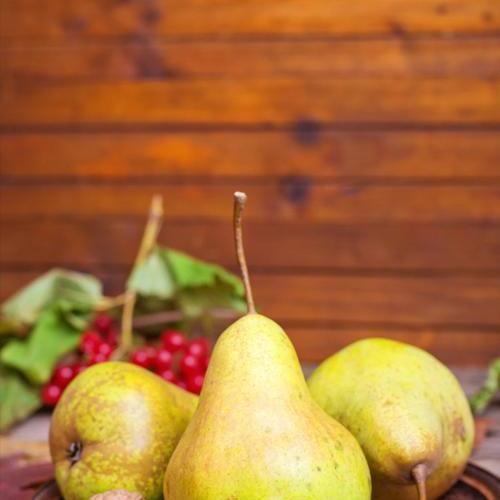 Сажанець Груша Говерла осінні сорти середній термін дозрівання (39855)