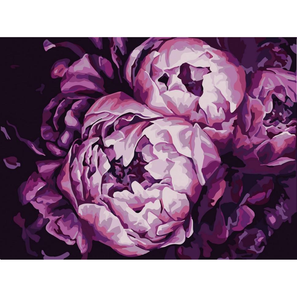 Картина по номерам Bambi Помпезные пионы 30x40 см (13131-NN)