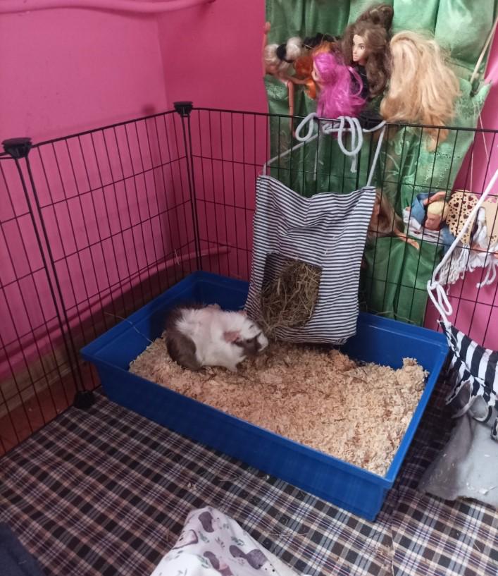 Клітка для гризунів 46х143х73 см - фото 14 Клітка для гризунів 46х143х73 см - фото 14