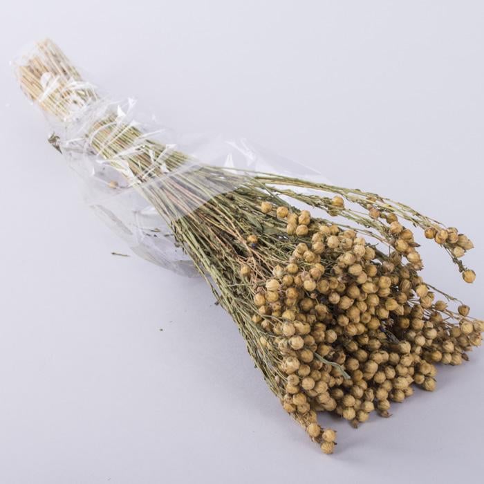 Сухоцвіт льон натуральний 100 г (ST00239)