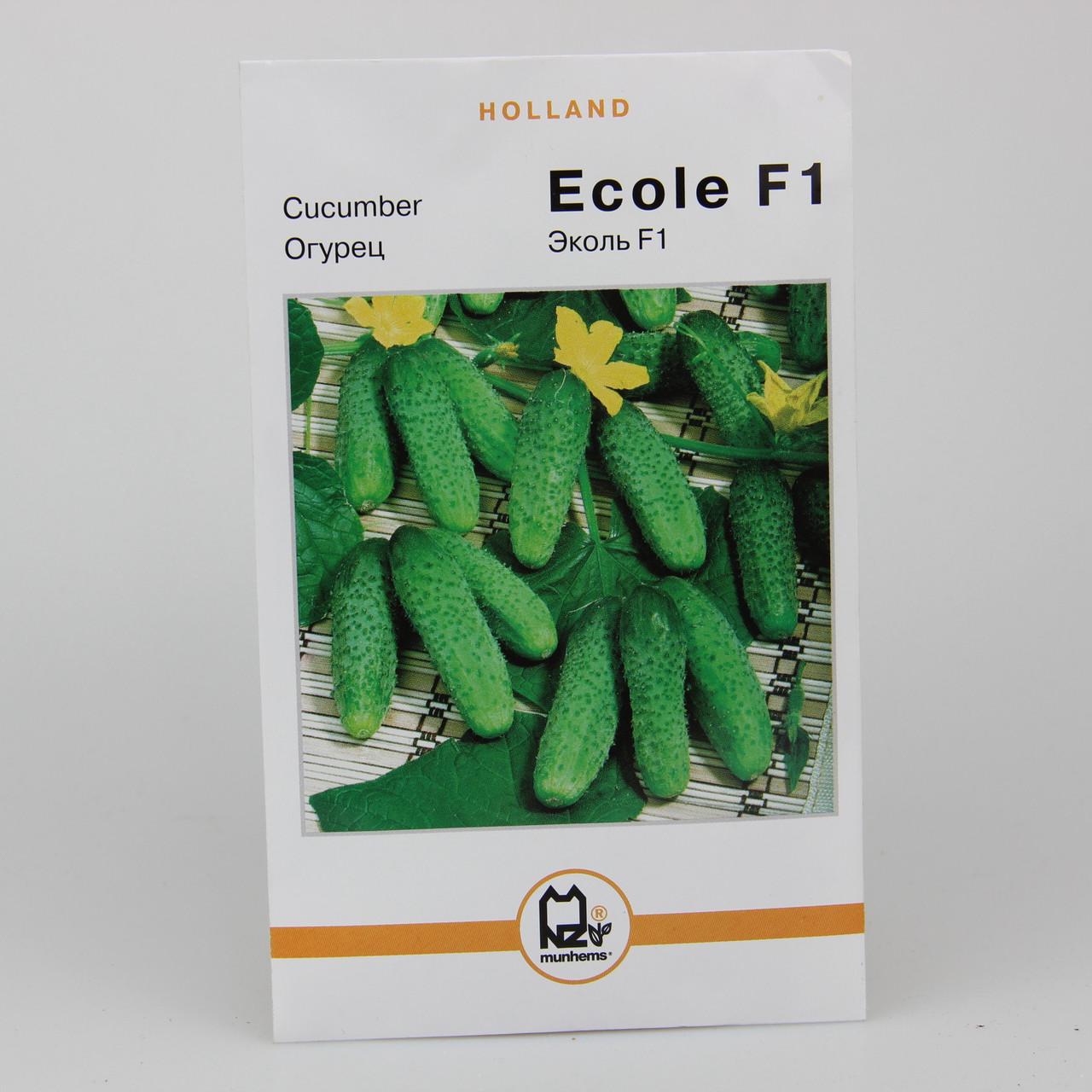 Семена огурца Эколь F1 Holland 4 г (29912)
