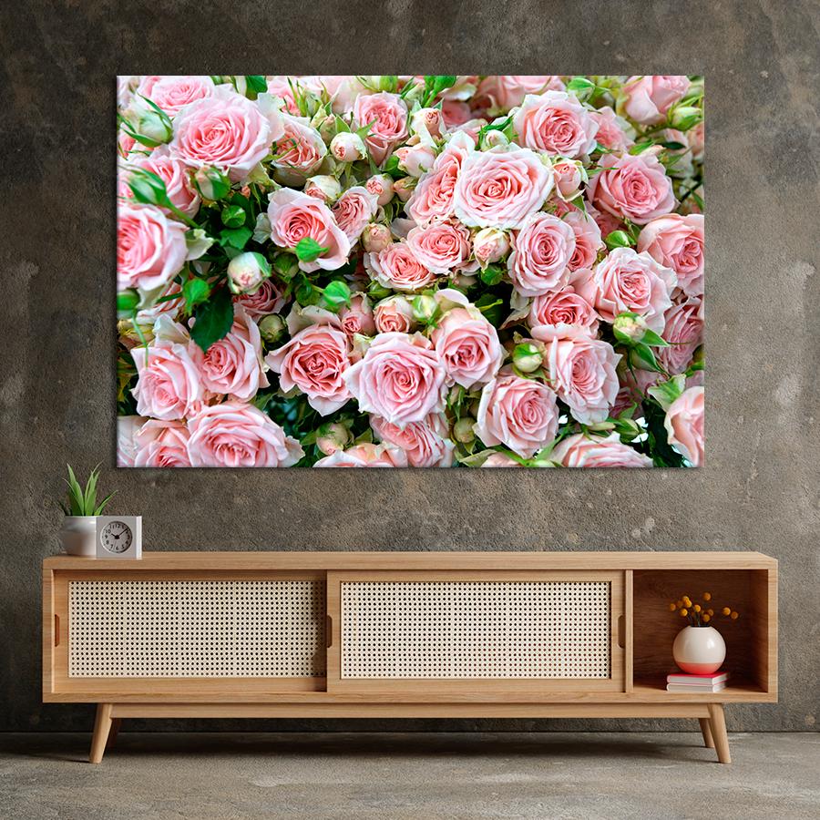 Картина цветы и растения Нежно-розовые розы 80x54 см (A1049-1)