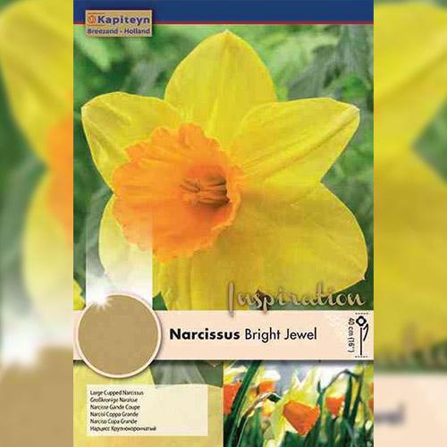 Нарцисс Florium Bright Jewel (18278)