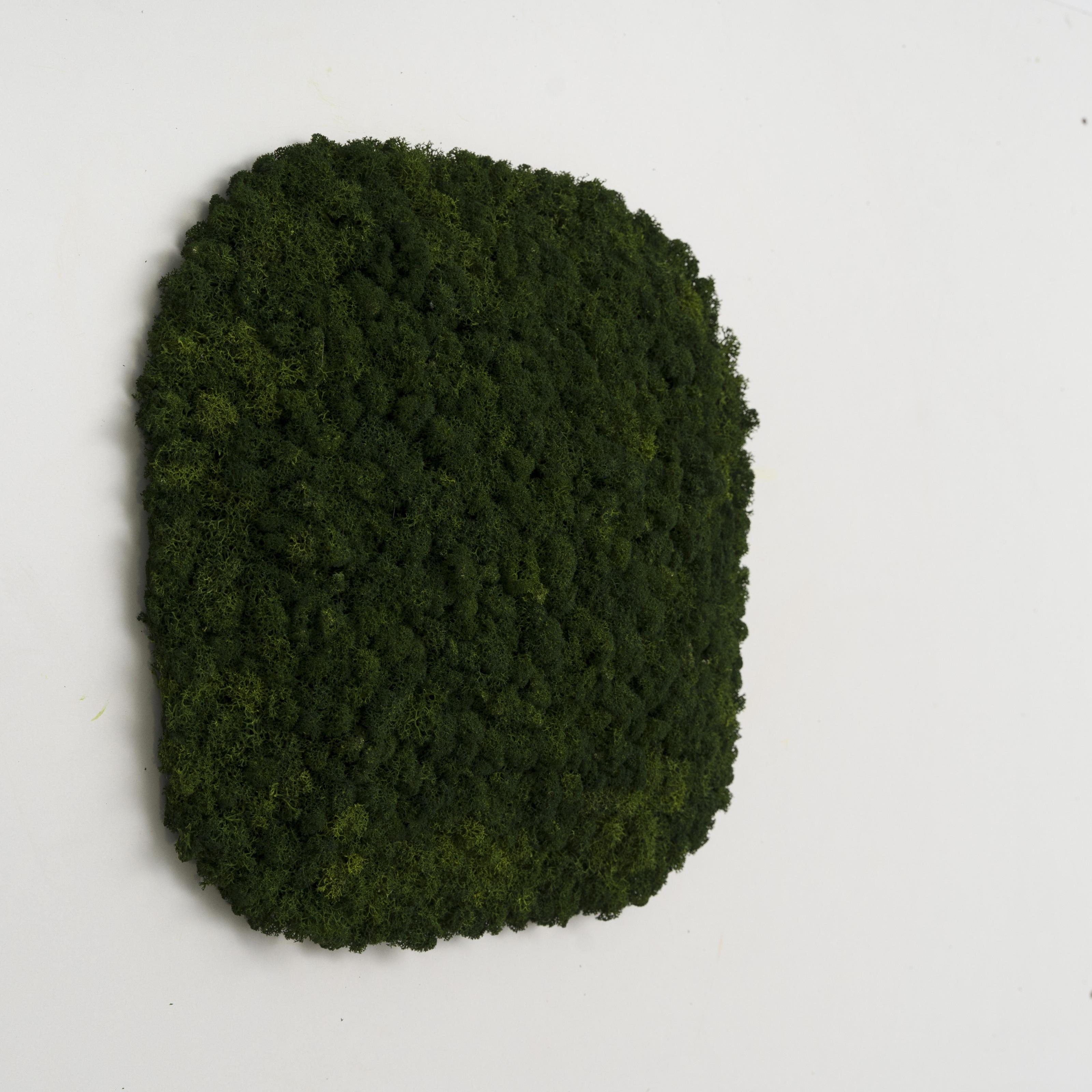 Декоративное панно из мха Organic Design Суперелепсная панель 33 см Forest Green (704-04) Декоративное панно из мха Organic Design Суперелепсная панель 33 см Forest Green (704-04)