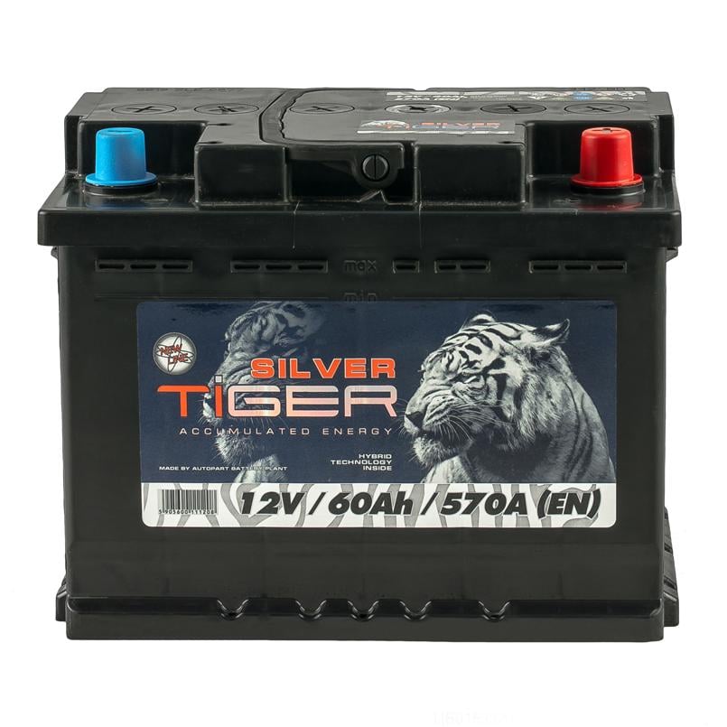 Акумулятор Tiger 60 Аh/12V Silver (AFS060-S00)